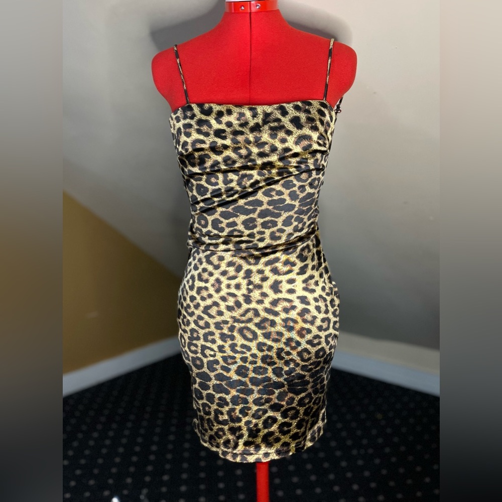 Animal Print Dress